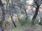 galeria_sorteo__1_23_1402731074.jpg