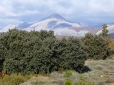 galeria_sorteo__1_40_1402731119.jpg