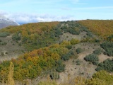 galeria_sorteo__1_43_1402731129.jpg